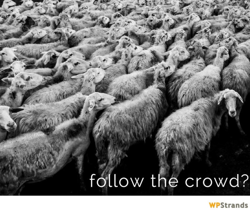 follow the crowd