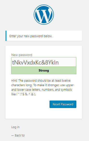 WordPress Enter New Password