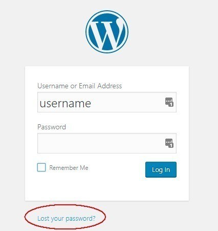 WordPress Lost Password Link