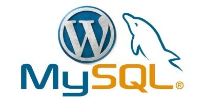 wp&MySQL